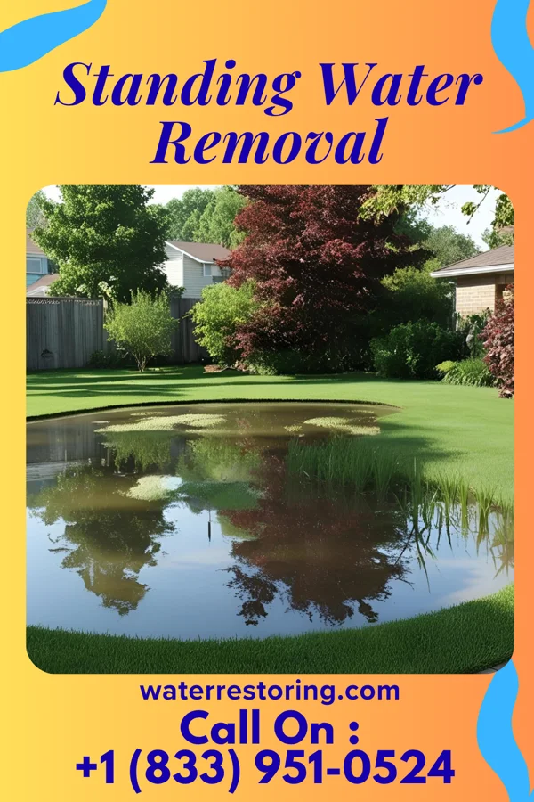 Standing Water Removal in Guide Rock, NE